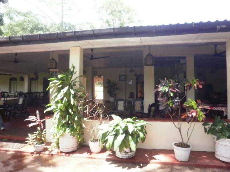 Sigiriya Rest House Dış mekan fotoğraf